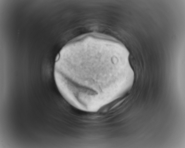 X0000088720279200706282110