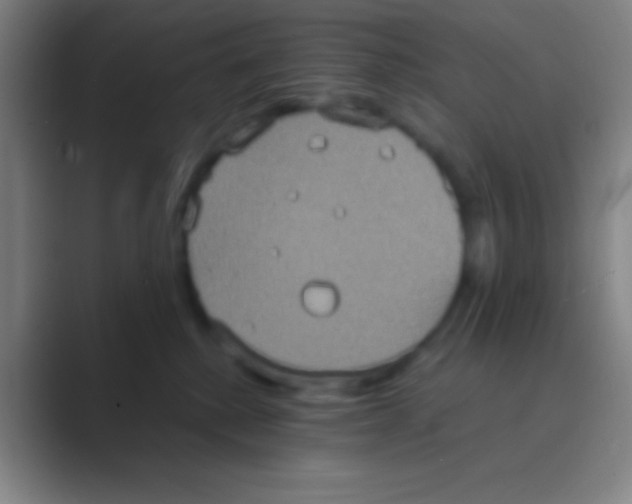 X0000088720280200706282110