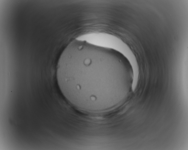 X0000088720284200706282110