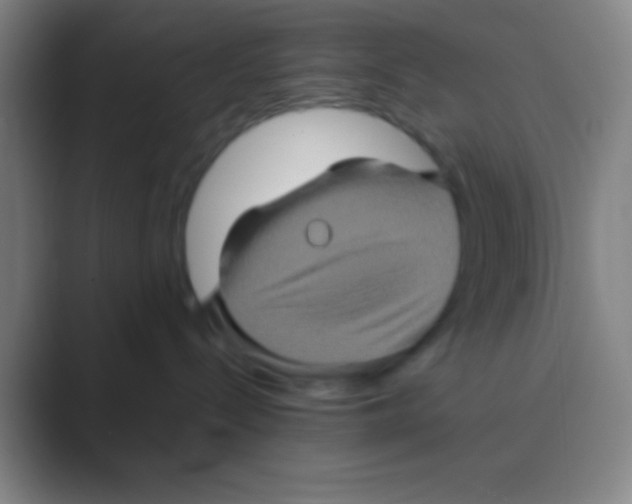 X0000088720288200706282110