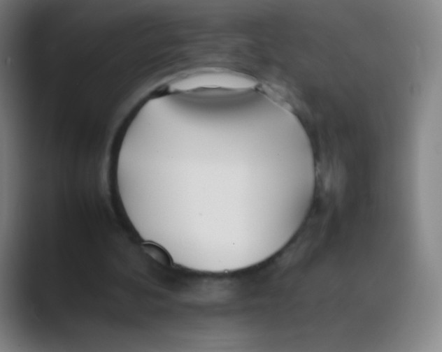 X0000088720292200706282109