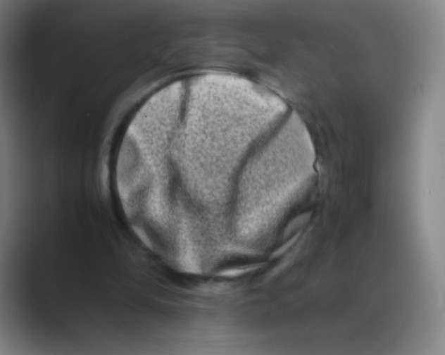 X0000088720294200706282109