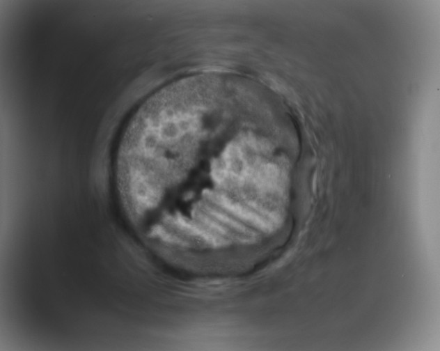 X0000088720295200706282109