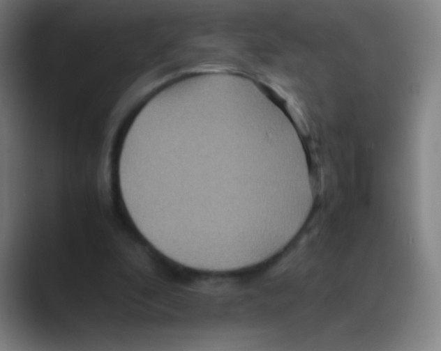 X0000088720296200706282109