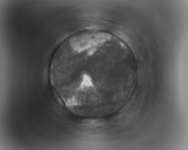 X0000088720297200706282109