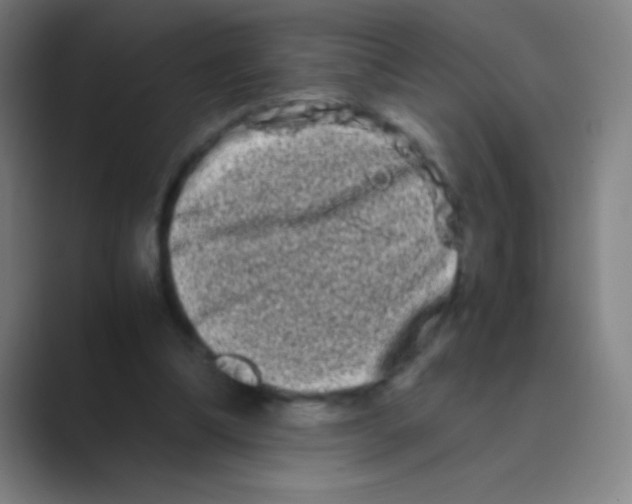 X0000088720298200706282109