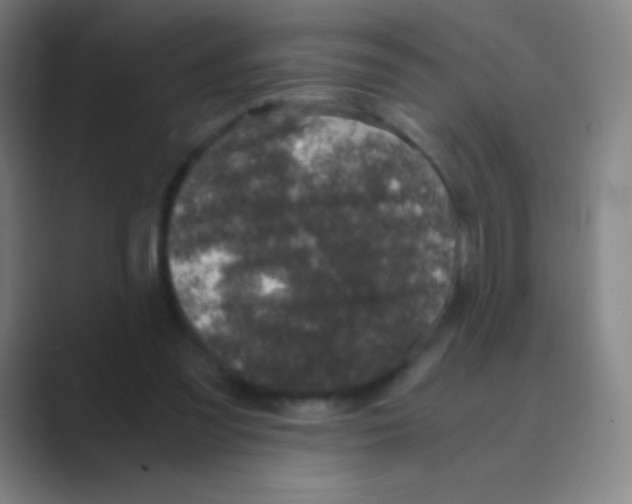 X0000088720301200706282109