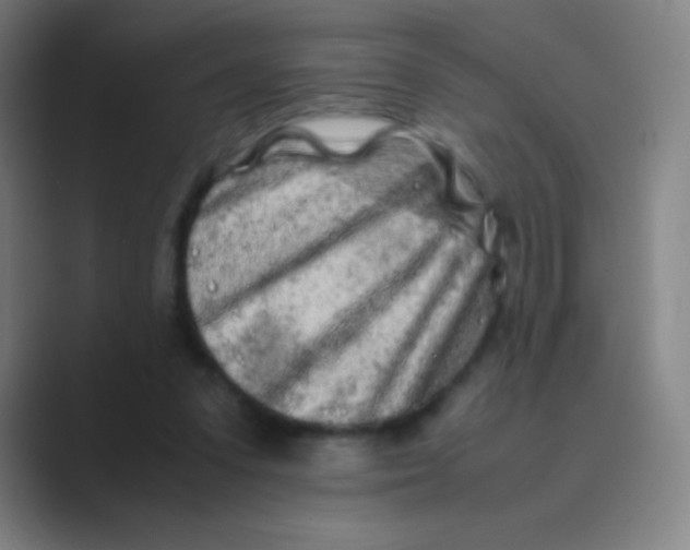 X0000088720303200706282109