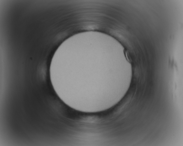 X0000088720304200706282109