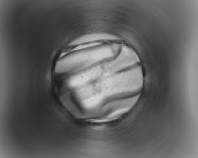 X0000088720306200706282109