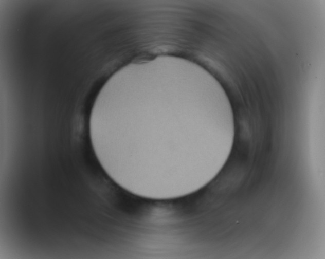 X0000088720308200706282109