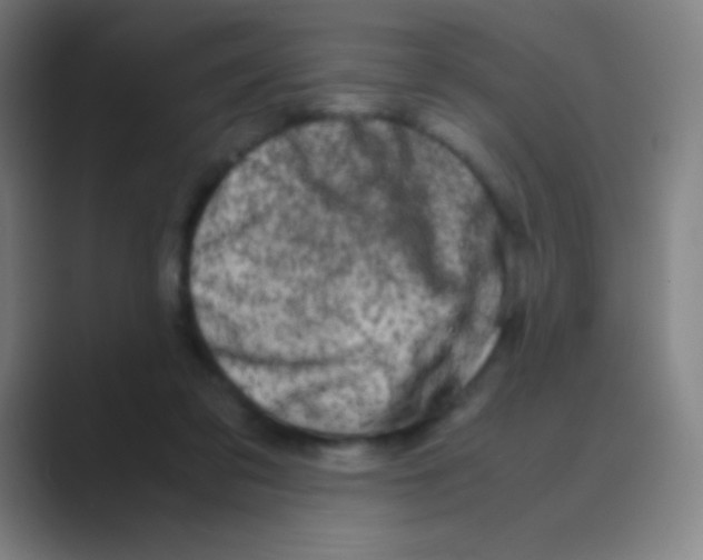 X0000088720309200706282109