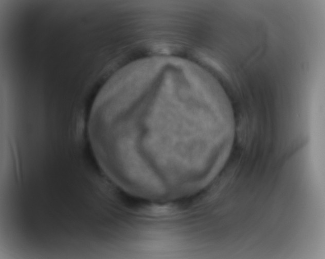 X0000088720314200706282109