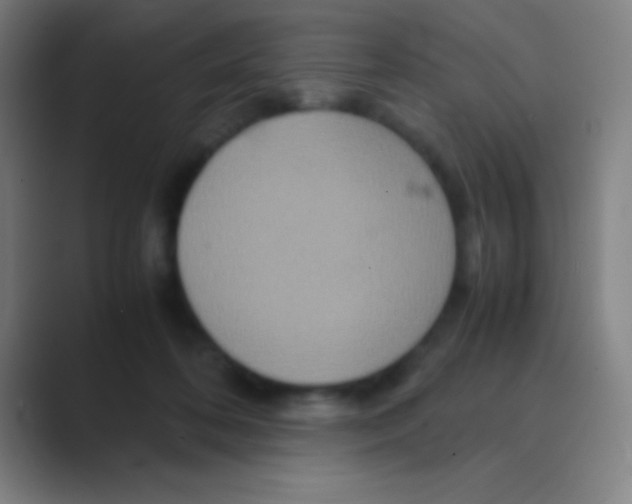 X0000088720316200706282109