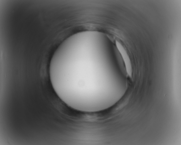 X0000088720317200706282109