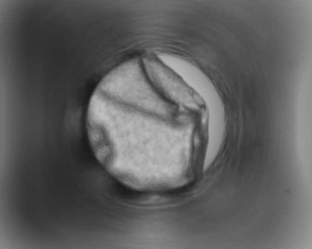 X0000088720319200706282109