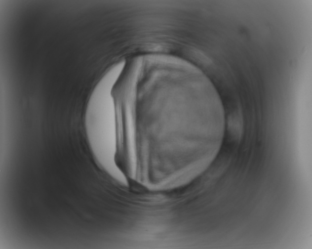 X0000088720322200706282109