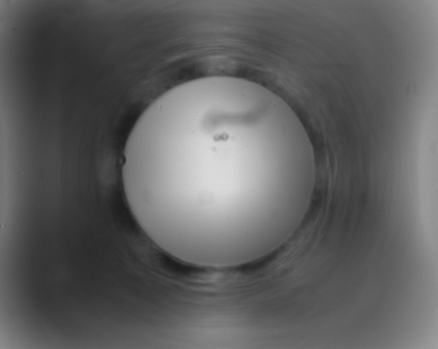 X0000088720323200706282109