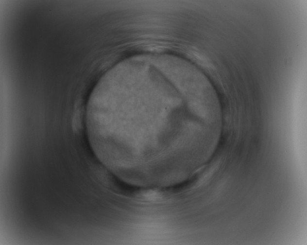 X0000088720325200706282109