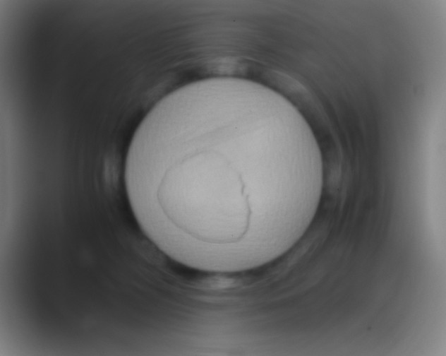 X0000088720326200706282109