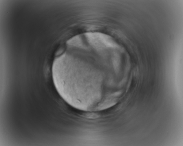 X0000088720327200706282109