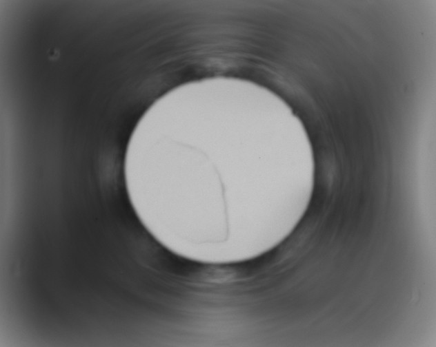 X0000088720328200706282109