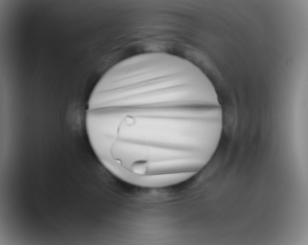 X0000088720329200706282109