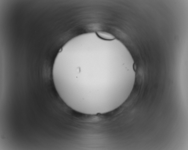 X0000088720330200706282109