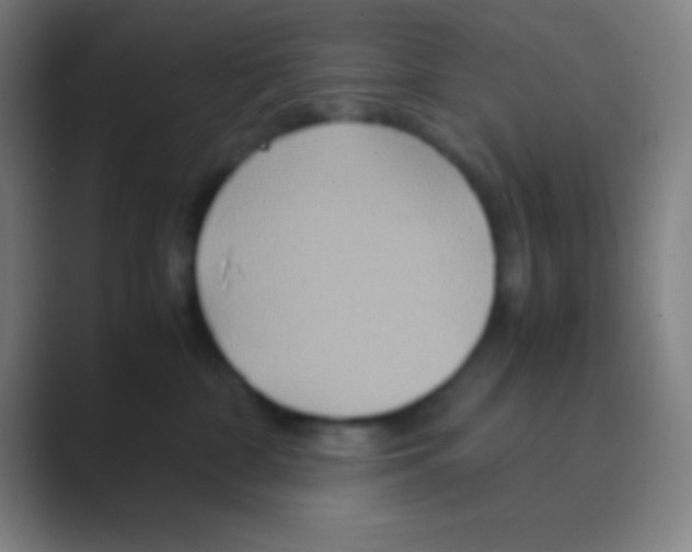 X0000088720332200706282109