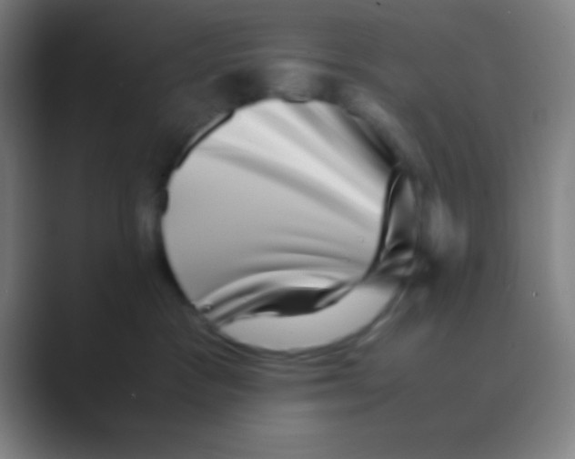 X0000088720333200706282109