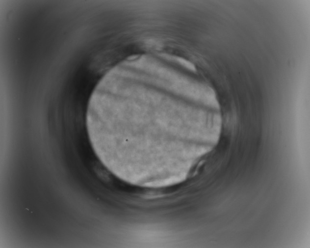 X0000088720335200706282109