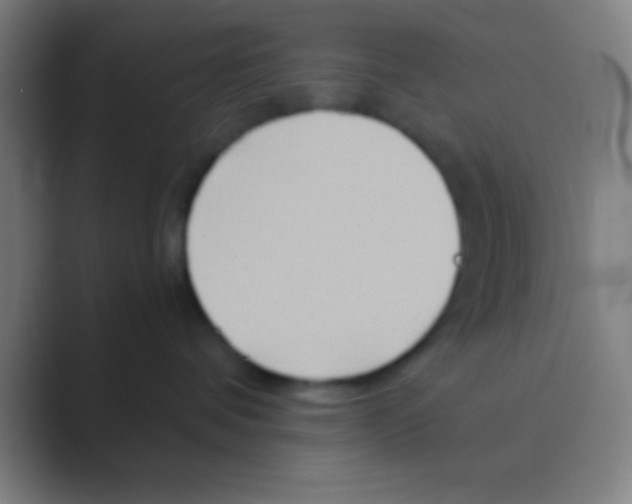 X0000088720336200706282109