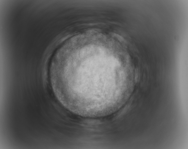 X0000088720339200706282108