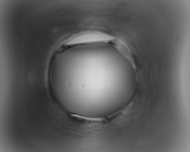 X0000088720340200706282108