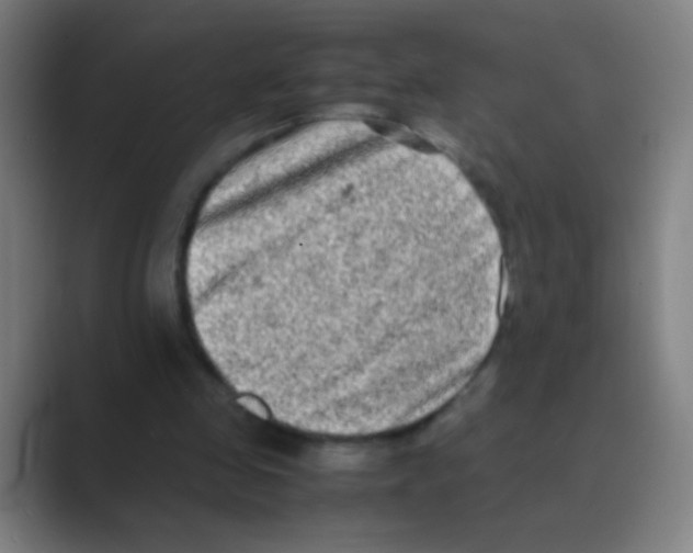 X0000088720341200706282108