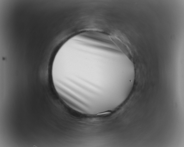 X0000088720344200706282108