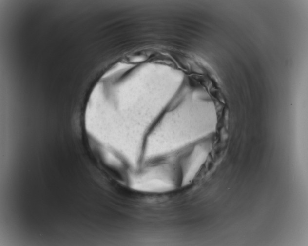 X0000088720345200706282108