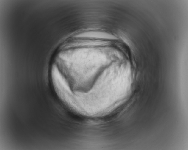 X0000088720346200706282108