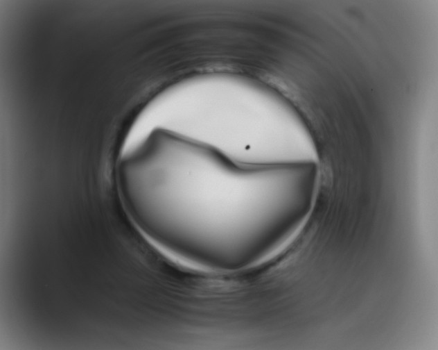 X0000088720347200706282108