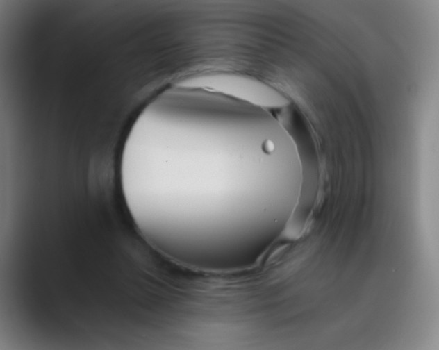 X0000088720348200706282108