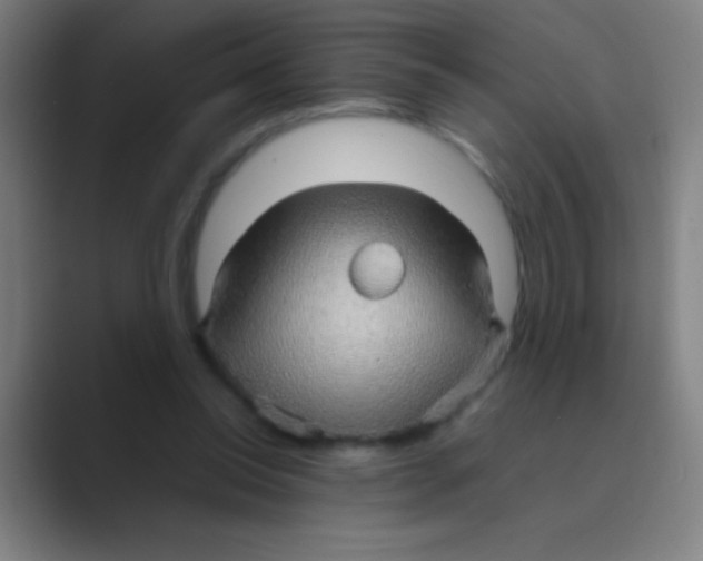 X0000088720350200706282108