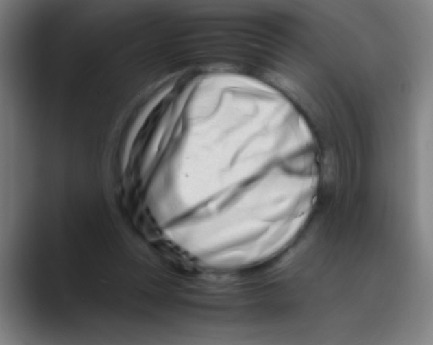 X0000088720351200706282108