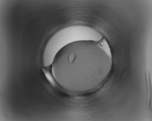 X0000088720352200706282108