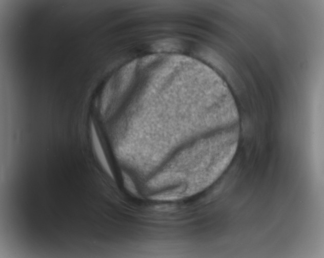 X0000088720353200706282108