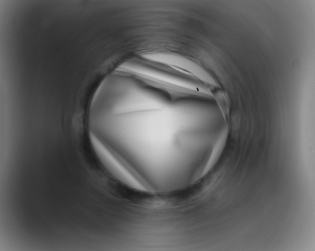 X0000088720356200706282108