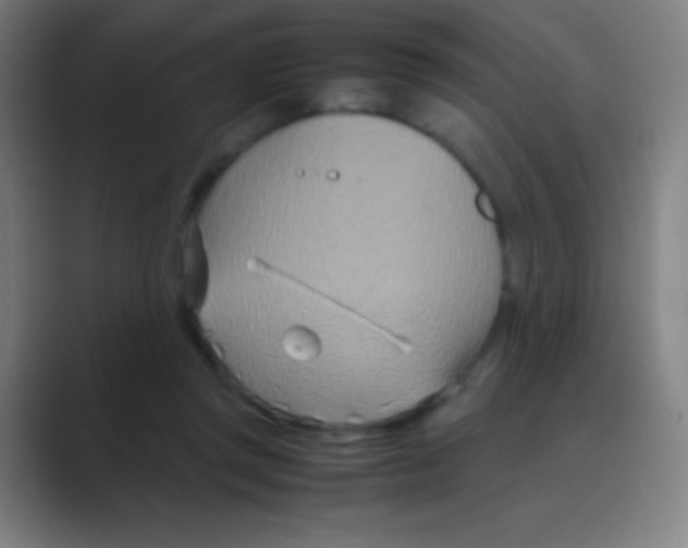 X0000088720357200706282108