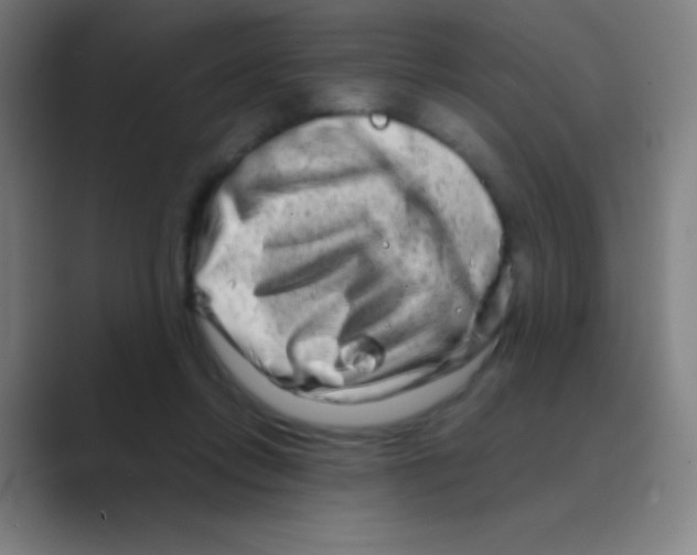 X0000088720358200706282108