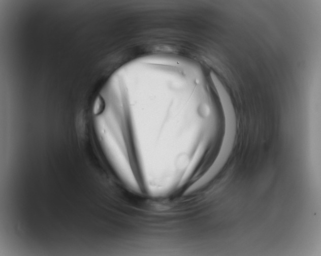 X0000088720359200706282108