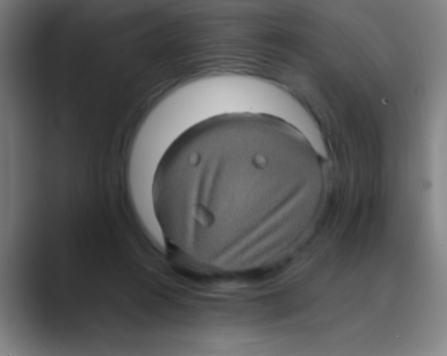 X0000088720360200706282108