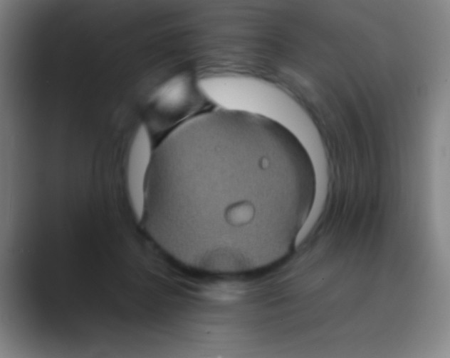 X0000088720364200706282108